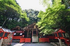京都　野宮神社②