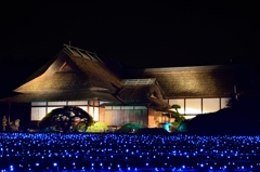 岡山後楽園 　夜間特別開園　幻想庭園④
