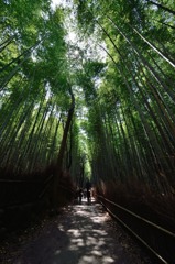 嵐山　竹林の道③
