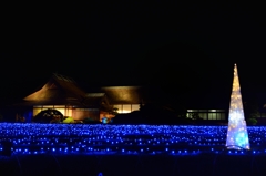 岡山後楽園 　夜間特別開園　幻想庭園③
