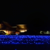 岡山後楽園 　夜間特別開園　幻想庭園③