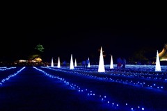 岡山後楽園 　夜間特別開園　幻想庭園①