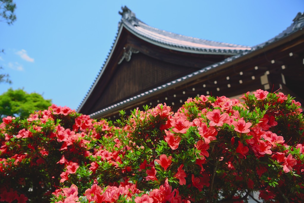 京都　天龍寺②