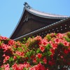 京都　天龍寺②