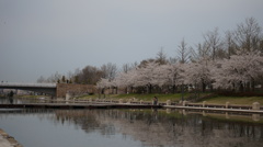 DSC00948