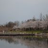 DSC00948