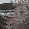 DSC00950