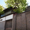DSC01561