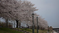 DSC00949