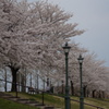 DSC00949