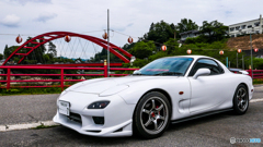 FD3S