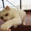 DSC00387