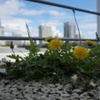 DSC01584