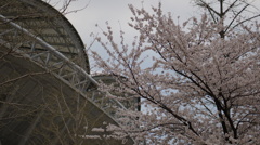 DSC00957