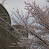 DSC00957