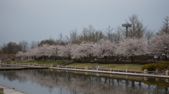 DSC00944