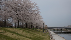 DSC00945