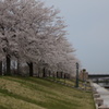 DSC00945