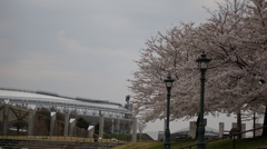 DSC00955