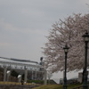 DSC00955