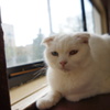 DSC00361