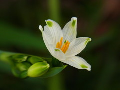 R0012320