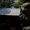 狛犬　神聖な