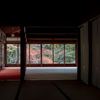 京都紅葉狩り【南禅寺：天授庵】①20201123