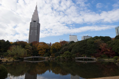 新宿御苑【上の池あたりの紅葉】①20171202