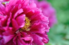 【新国色】20140503