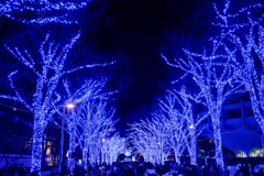 都内夜景巡り【青の洞窟：イルミネーション】①20251216