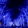 都内夜景巡り【青の洞窟：イルミネーション】①20251216