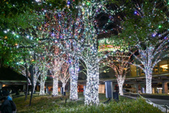 都内夜景巡り【六本木ヒルズ：イルミネーション】②20251216