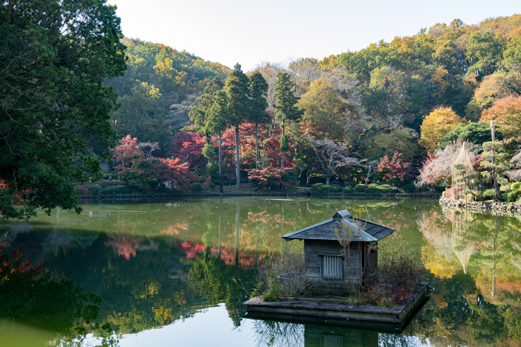 薬師池公園【紅葉の様子】20201115