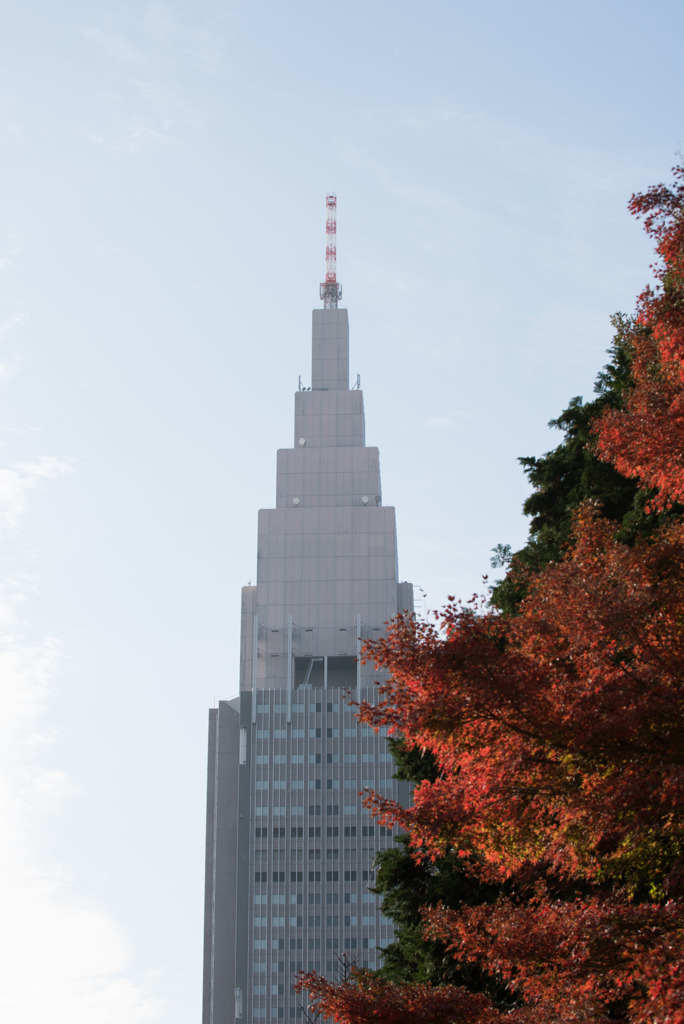新宿御苑【音羽亭の紅葉】①20181201