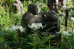 【清流山常泉寺(彼岸花)】①20160917