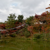 京都の紅葉【高台寺】②20201126