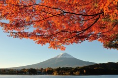 【富士山と紅葉】①20131113