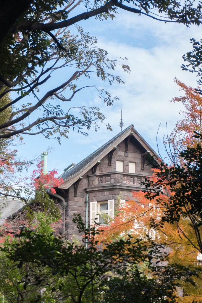 旧古河庭園【モミジと洋館】④20171126
