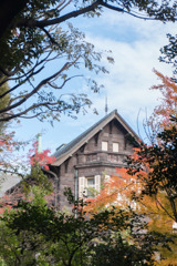 旧古河庭園【モミジと洋館】④20171126