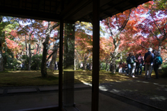 【箱根美術館_茶室「真和亭」から見た庭園】20161113