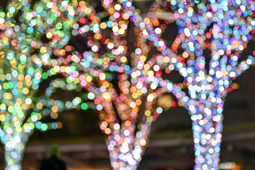 都内夜景巡り【六本木ヒルズ：イルミネーション】⑧20251216