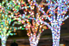 都内夜景巡り【六本木ヒルズ：イルミネーション】⑧20251216