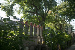 あじさい寺(妙楽寺)【参道沿いの紫陽花】②20220625