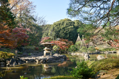 都内紅葉巡り【旧古河庭園：雪見灯篭と紅葉】20251128