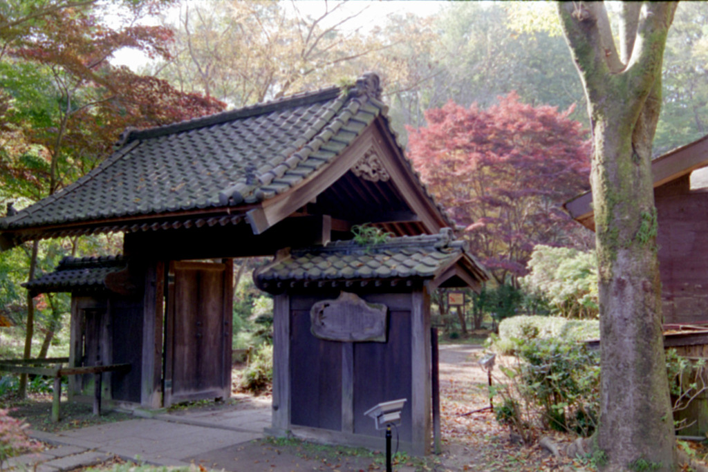 薬師池公園【旧荻野家周辺の紅葉】①20201115銀塩