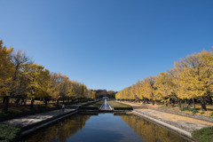 昭和記念公園【カナールの光景】①20201114