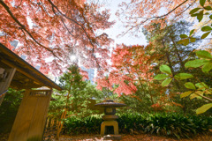 都内紅葉巡り【六義園：宣春亭への門】②20251128