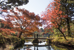 【六義園の紅葉】⑤20161203