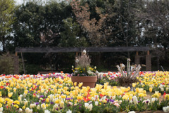 花菜ガーデン【チューリップ園の眺め】①20190407